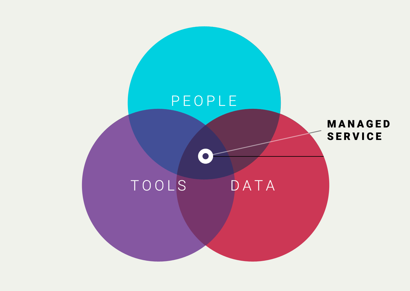 Professional services combine tools, data and people